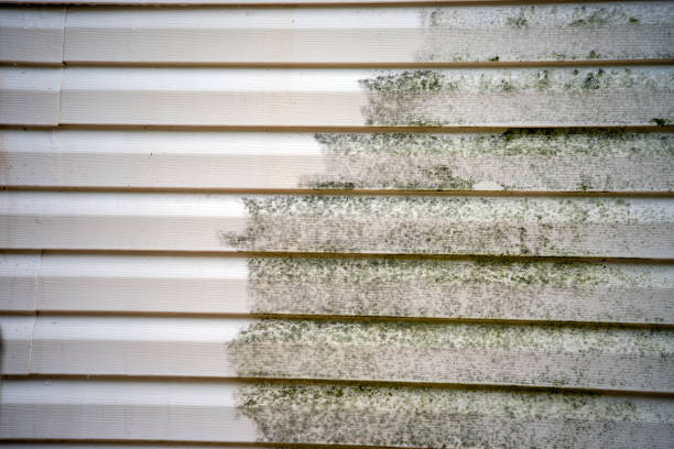 Best Hoarding Cleanup  in Cumberland, IN